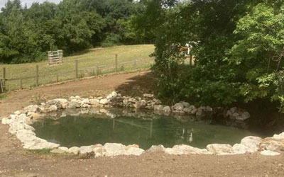 Pond Installation