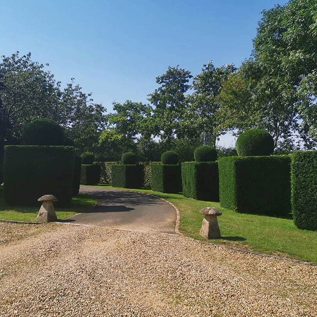 https://craftlandscapes.co.uk/wp-content/uploads/2025/08/Hedge-cutting-pruning-services.jpg