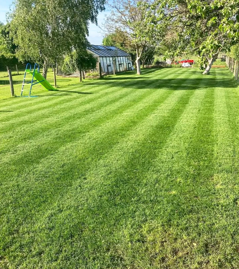 https://craftlandscapes.co.uk/wp-content/uploads/2025/09/Turfing-and-Artificial-Grass-craft-landscapes.jpg
